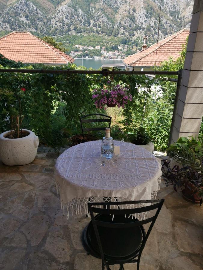 Apartments Coso Zlatne Njive Bb Kotor Exterior photo