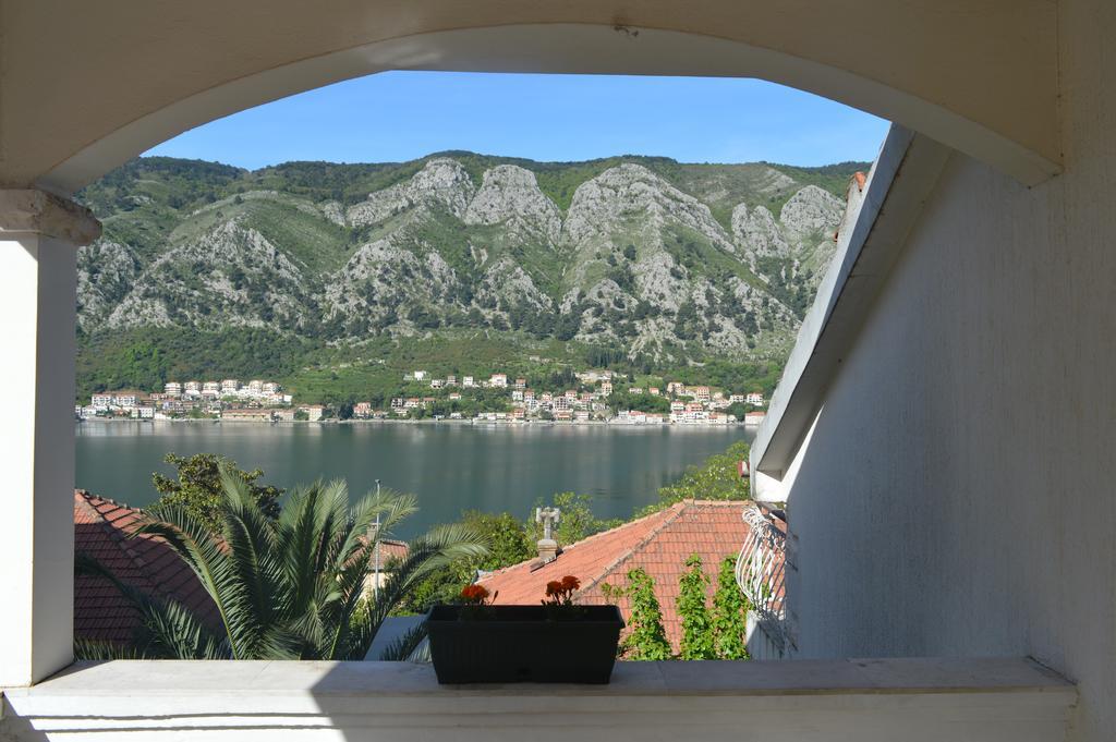 Apartments Coso Zlatne Njive Bb Kotor Exterior photo